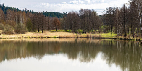 Fischteich bei Lobendau im Frühling 3