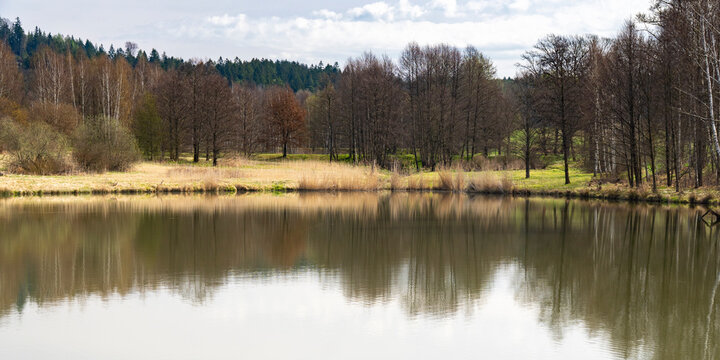 Fischteich bei Lobendau im Fr&uuml;hling 3