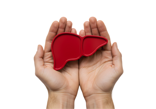 Protecting Your Liver: A Guide to Liver Health on Transparent  background