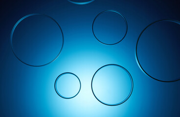 Top view of circular dishes set against a luminous blue background. Laboratory dishes of various sizes and made from transparent glass are scattered across the flat surface. Minimalist layout.