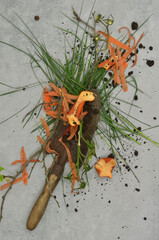 Eco texture: top view abstract mess connected with gardening and composting. Grass remains, carrot...