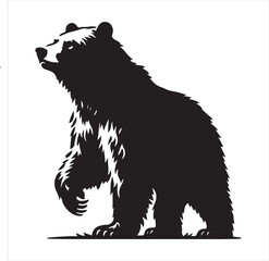 bear standing silhouette, vector, black color silhouette 