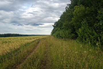 Dirt road in the countryside on a cloudy day
