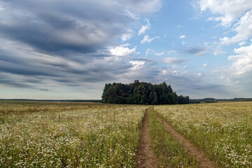 Dirt road in the countryside on a cloudy day