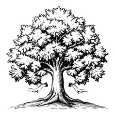 Detailed Black and White Engraving of a Majestic Tree with Leaves