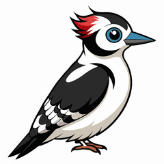 black and white bird