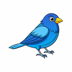 blue bird on a branch