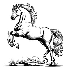 Detailed Engraving of a Majestic Rearing Horse in Black and White