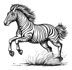 Obraz premium Detailed Black and White Engraving of a Galloping Zebra Illustration
