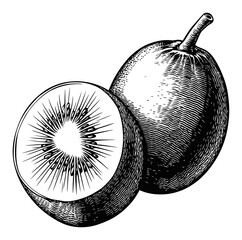 Detailed Black and White Engraving of a Kiwi Fruit Illustration