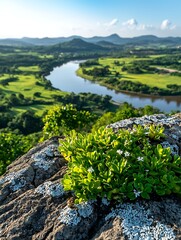 Scenic river valley view from rocky outcrop