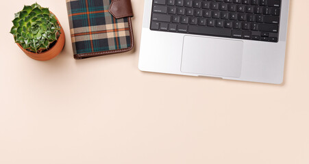 A clean and minimal desk setup featuring a laptop and plant