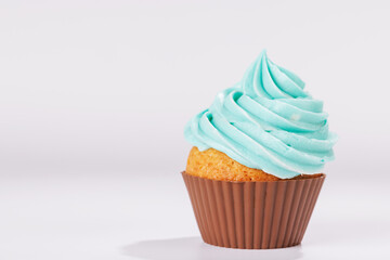 Festive cupcake topped with swirled frosting