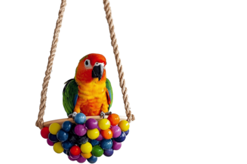 Bird swing decorated with colorful balls