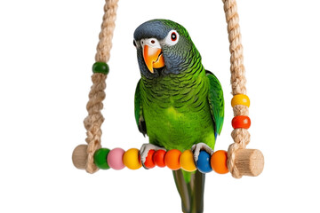 Hanging swing with vibrant parrot beads
