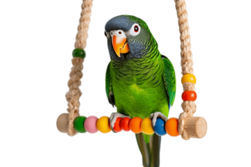 Hanging swing with vibrant parrot beads