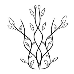 leaf line art,vector illustration of a plant,leaf icon