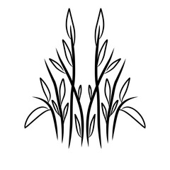 leaf line art,vector illustration of a plant,leaf icon