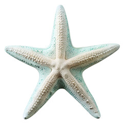 A lovely starfish resting peacefully in the ocean depths isolated on transparent background.
