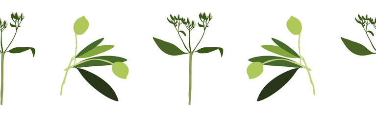  Border leaves and berries on a white background. Hand-drawn illustration. Perfect for spring and summer.