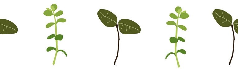 Leaves border on a white background. Hand-drawn illustration. Perfect for spring and summer.	