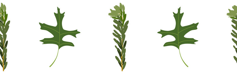 Leaves border on a white background. Hand-drawn illustration. Perfect for spring and summer.	