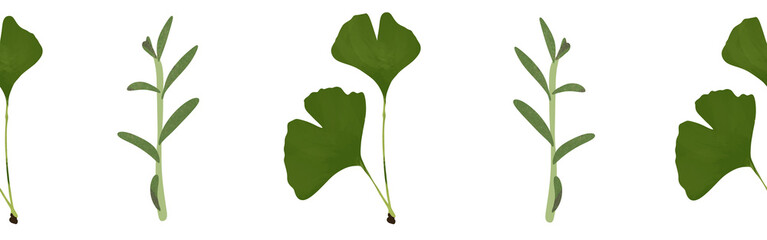 Leaves border on a white background. Hand-drawn illustration. Perfect for spring and summer.	