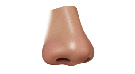 Isolated Human Nose with Skin Texture