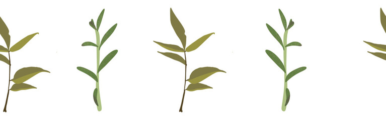 Fototapeta premium Leaves border on a white background. Hand-drawn illustration. Perfect for spring and summer. 