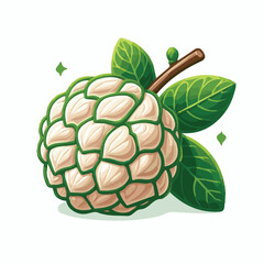 cherimoya, green, fruit, fresh, food, ripe, exotic, sweet, tropical, organic, custard, background, healthy, raw, annona, white, custard apple, delicious, tasty, isolated, dessert, seed, half, chirimoy