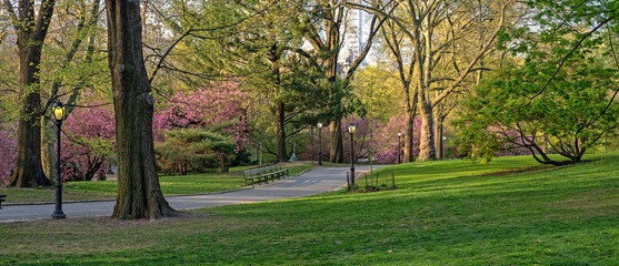 Central Park in spring
