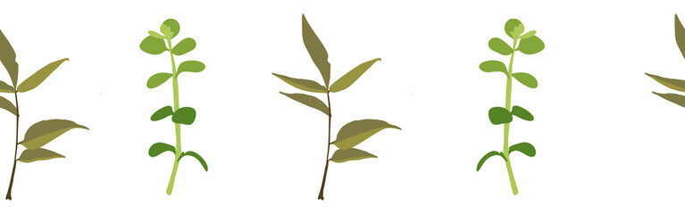 Fototapeta premium Leaves border on a white background. Hand-drawn illustration. Perfect for spring and summer. 