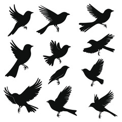 Obraz premium Collection of Bird Silhouettes in Various Flying and Perching Poses