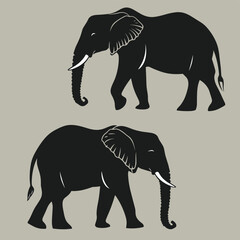 Fototapeta premium Silhouette Illustration of Two Walking African Elephants