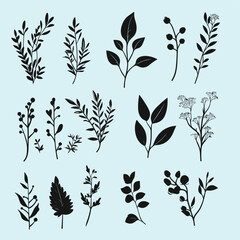 Hand Drawn Botanical Silhouette Collection of Leaves and Wildflowers on Light Blue Background