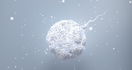 Sperm Reaching Egg – Fertilization and Reproductive Science Concept. 3D illustration