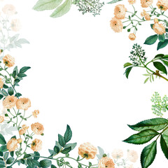 Fototapeta premium Botanical frame design transparent png