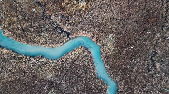 Aerial view of a vibrant blue salmon run winding through a marshy wetland during spawning season in Michigan&rsquo;s wilderness