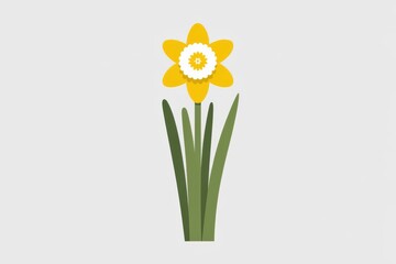 Daffodil Flower Illustration with Multiple Leaves on Plain Background Springtime