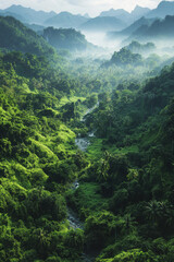 Obraz premium aerial view of lush tropical forests in southeast asia showcasing vibrant greenery and diverse ecosystems.