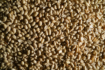 Shelled peanuts creating textured food background, raw groundnuts without skins.