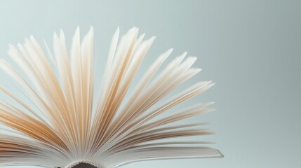 An open book with white pages and a brown spine.