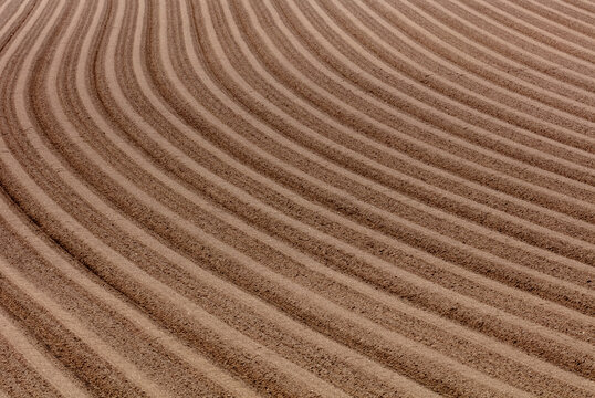 The beautiful curves of the fields