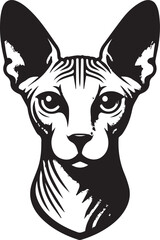 Sphynx Cat Vector Black and White Line Art Illustration	
