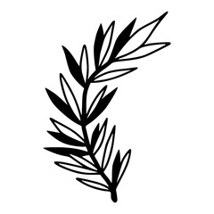 botanical olive twig element