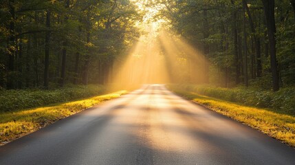 A winding road through a forest, with sunlight filtering through the trees.