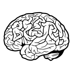 human brain vector illustration