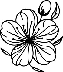 Traditional sakura flower used as a Japanese emblem in clean vector format