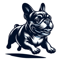 french bulldog vector and illustration isolated on white background.