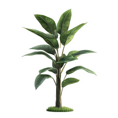 Fototapeta premium Tropical plant with vibrant green leaves against a colorful striped background